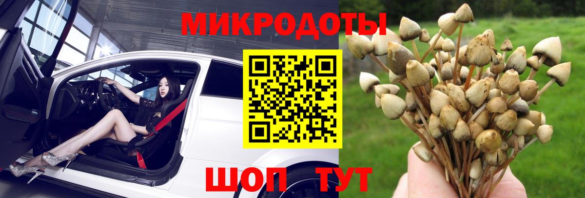 Галлюциногенные грибы Cubensis  Галлюциногенные грибы ЛСД  Алушта  Вход с VPN 