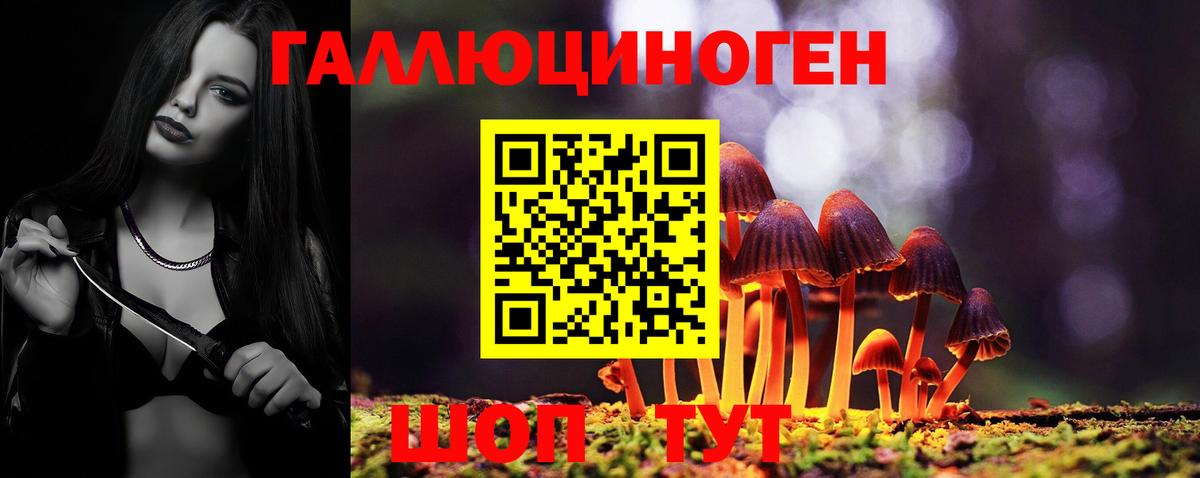 Псилоцибиновые грибы мухоморы Алушта